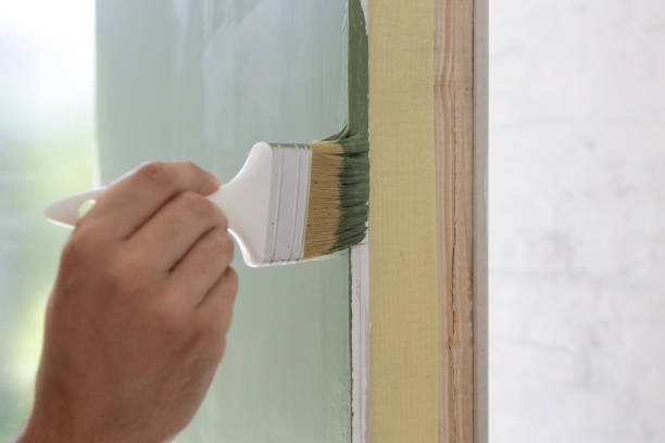 Trusted Colorado City, TX Mold Removal Experts