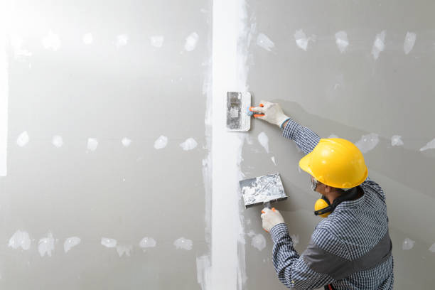 Best Mold Documentation for Insurance Claims  in Colorado City, TX