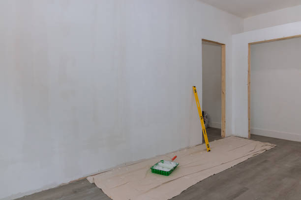 Mold Remediation for Rental Properties in Colorado City, TX