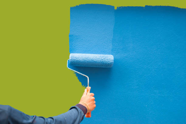 Environmental Consulting for Mold Prevention in Colorado City, TX